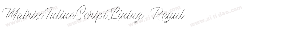 MatrixInlineScriptLining Regular字体转换